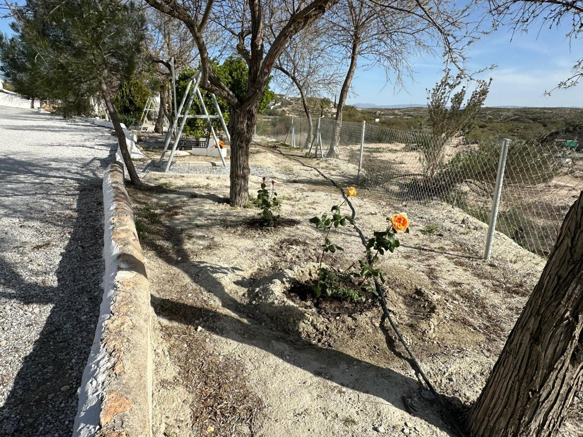 El Aljibete Alojamientos Cuevas Tiana מראה חיצוני תמונה
