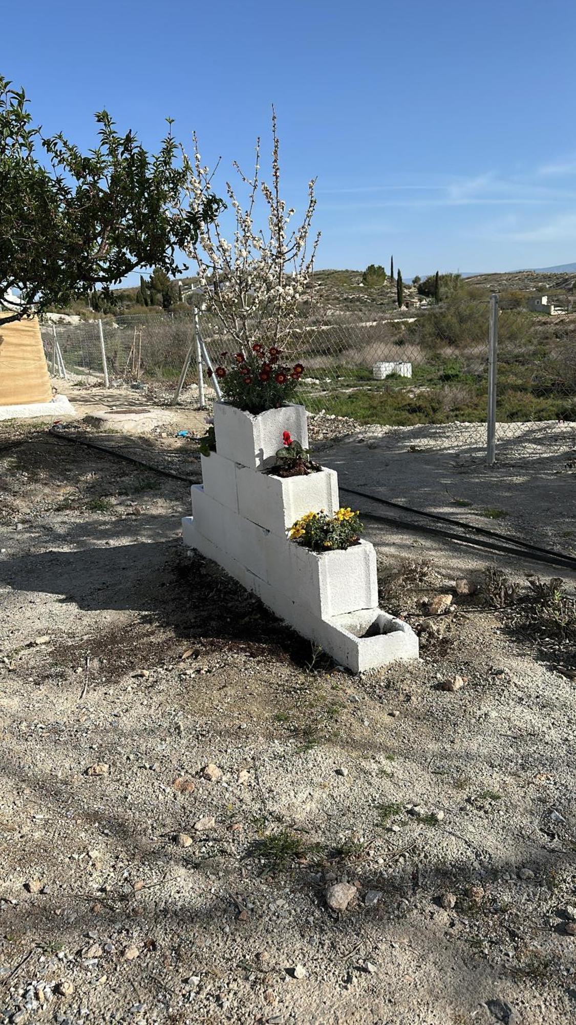 El Aljibete Alojamientos Cuevas Tiana מראה חיצוני תמונה